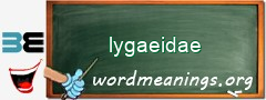 WordMeaning blackboard for lygaeidae